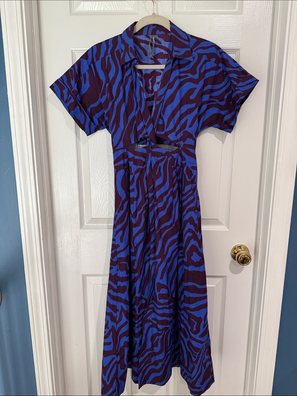 Anthropologie Blue and Purple Zebra-Print Maxi Dress